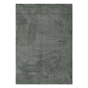 Kusový koberec Labrador 71351 044 Light Green 120x170 cm
