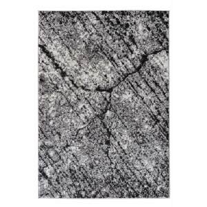 Kusový koberec PHOENIX 3033-0244 160x230 cm
