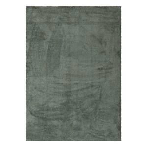 Kusový koberec Labrador 71351 044 Light Green 80x150 cm