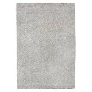 Kusový koberec Softness 2144G305 80x150 cm