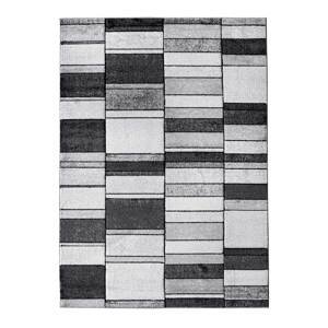 Kusový koberec Alora 1018 Grey 200x290 cm