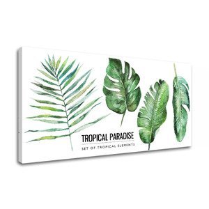 Obraz na zeď s textem Tropical paradise