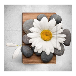 Nástěnný 3D obraz Mosticx Daisy With Pebbles, 40 x 60 cm