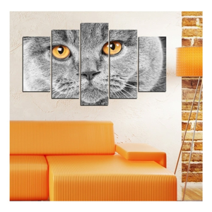 Vícedílný obraz Insigne Cat Eyes, 102 x 60 cm