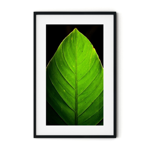 Plakát v rámu Insigne Leaf, 46 x 72 cm