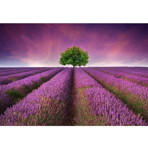 Vinylový předložka Lavender Field, 52 x 75 cm