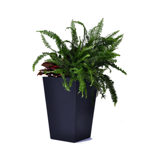 Keter Keter Rattan planter L - grafit