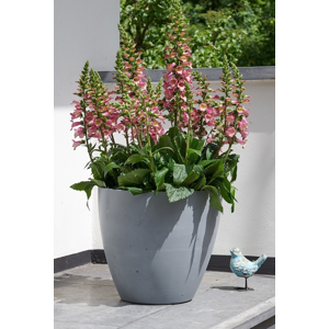 stewart stewart Květináč BETON PLANTER 53cm