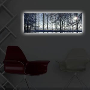 ASIR Nástěnný obraz s LED osvětlením WINTER