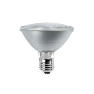 ACA Lighting PAR30 E27 75W 30d bílá 158214075E