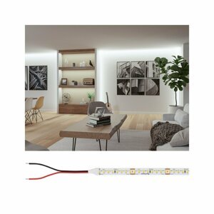 PAULMANN Pro LED Strip Silver P150 840 5m 50W 1530lm/m 160LEDs/m 4000K