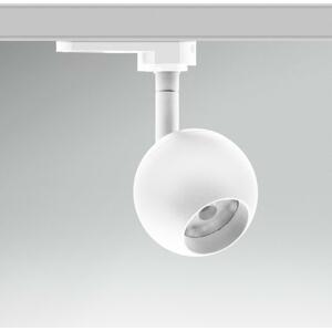 CENTURY Svítidlo pro 3fázovou lištu REGIA SHOP MINI SPHERE bílá LED 10W 3000K CRI90 UGR16