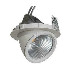 NBB GIMBAL LED COB DOWNLIGHT 30W/940 24° CRI90+ pr.165x140mm IP20 253424055
