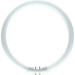 Philips kruhová MASTER TL5 Circular 40W/840 2GX13