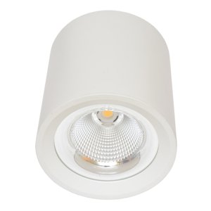 Ecolite Svítidlo přisazené,COB,30W,4100K,bílé MZ-DL-30W/BI