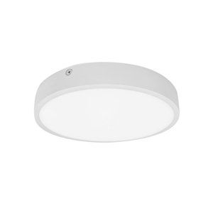 PALNAS, spol. s r.o. Palnas stropní LED svítidlo Egon kruh bílý 61003559