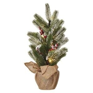 EMOS LED vánoční stromek zasněžený, 52 cm, 3x AA, vnitřní, teplá bílá, časovač DCTW04