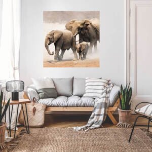 Samolepky na zeď s motivem zvířat - Sloni