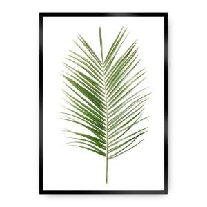 Plakát Palm Leaf Green