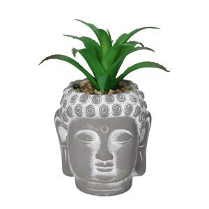 Dekorace Aloe Buddha 17cm