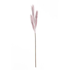 Pampová tráva 100cm lilac