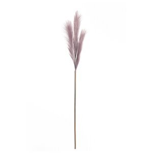Pampová tráva 100cm light violet