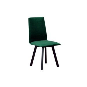 Moderní jídelní židle Scani černé nohy a zelená potahová látka