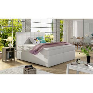 Moderní čalouněná manželská boxspring postel Alie 160 x 200 06 - Soft 17