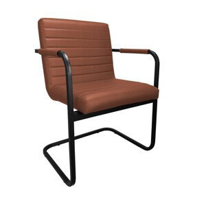 Konferenční židle SWING černá kostra D3 3D