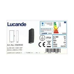 Lucande Lucande - LED Venkovní nástěnné svítidlo CORDA 2xLED/3W/230V IP54