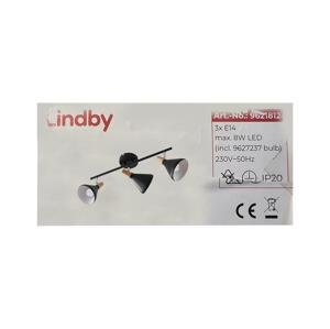 Lindby Lindby - LED Bodové svítidlo ARINA 3xE14/4W/230V