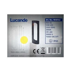 Lucande Lucande - LED Venkovní lampa FENTI LED/12W/230V IP65