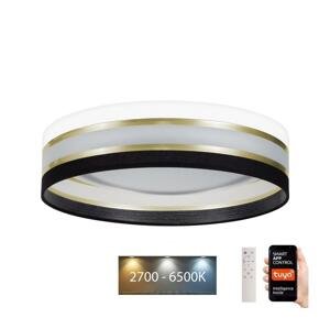 LED Stmívatelné stropní svítidlo SMART CORAL 24W/230V Wi-Fi Tuya černá/bílá +DO