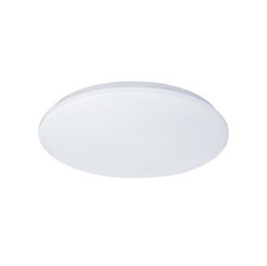 WO787 - LED Stropní svítidlo PLAIN LED/15W/230V 4000K kulatý