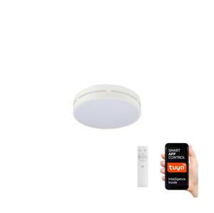 Neo  NEO 07153-W30 - LED Stmívatelné svítidlo PERFECTO 24W/230V Wi-Fi Tuya + DO