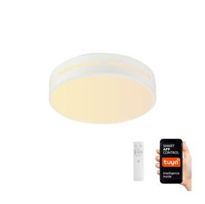 Neo  NEO 07153-W50 - LED Stmívatelné svítidlo PERFECTO 48W/230V Wi-Fi Tuya + DO