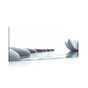 Obraz lotosový květ a Zen kameny
