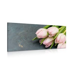 Obraz pastelově růžové tulipány