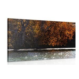 Obraz odraz listí v jezeře