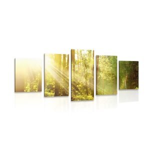5-dílný obraz sluneční paprsky v lese