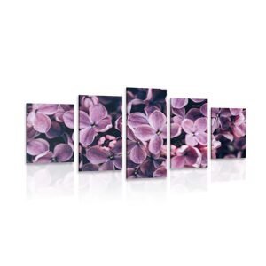 5-dílný obraz fialové květy šeříku