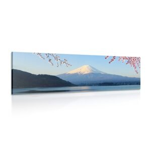 Obraz výhled na horu Fuji