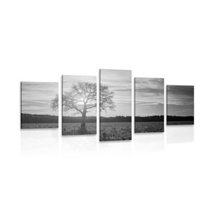 5-dílný obraz osamělého stromu v černobílém provedení