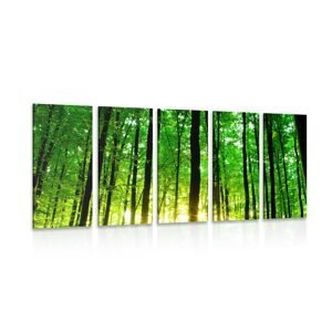 5-dílný obraz svěží zelený les