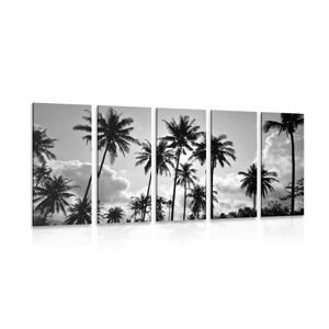 5-dílný obraz kokosové palmy na pláži v černobílém provedení