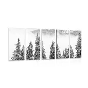 5-dílný obraz zasněžené borové stromy v černobílém provedení
