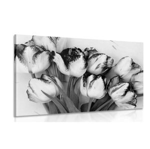 Obraz jarní tulipány v černobílém provedení