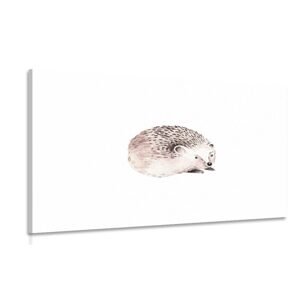 Obraz roztomilý ježek