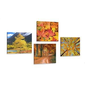 Set obrazů podzimní příroda v nádherných barvách