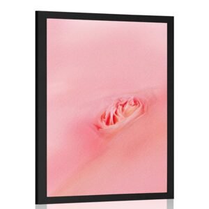 Plakát v objetí růžové